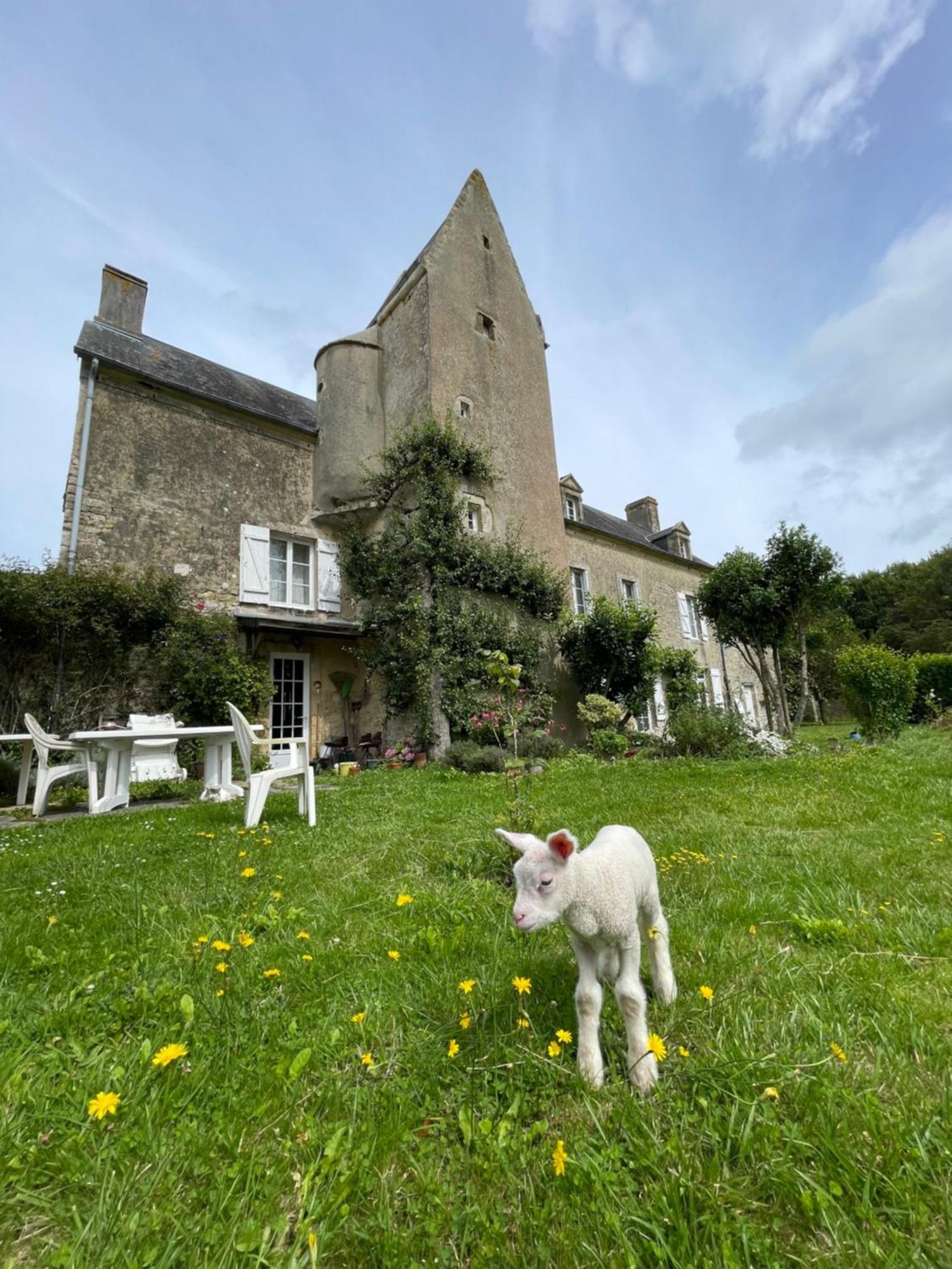 Formigny Ferme Fortifiee D Enguenard المظهر الخارجي الصورة